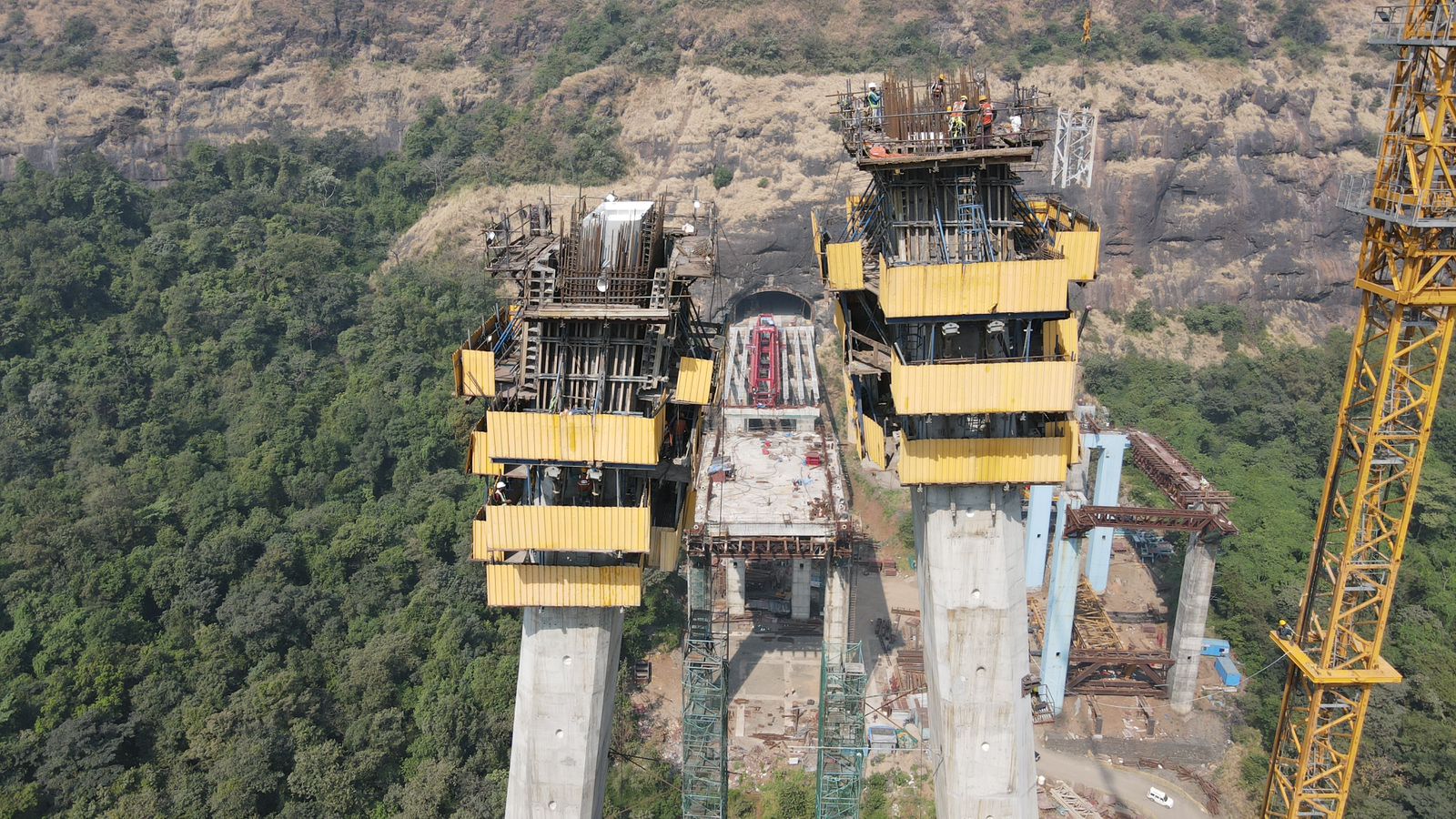 100+ Projects Successfully Delivered